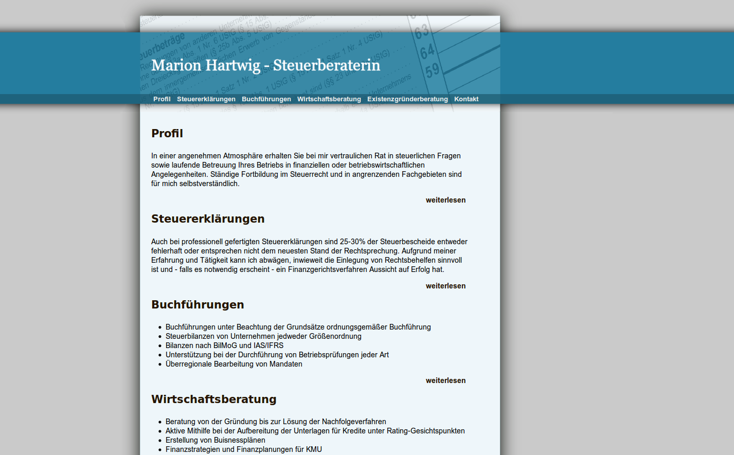 Steuerhartwig: Website